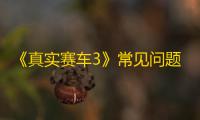 《真实赛车3》常见问题攻略